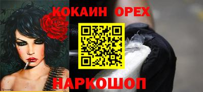 шишки Дубна
