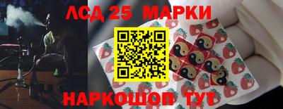 шишки Дубна