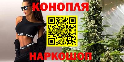 шишки Дубна