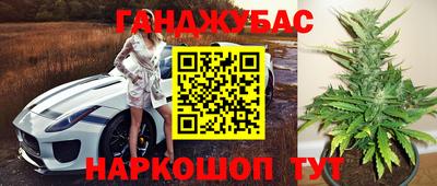 шишки Дубна