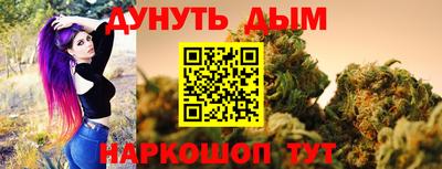 шишки Дубна