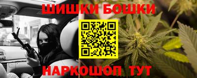 шишки Дубна