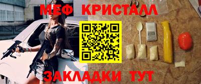 шишки Дубна