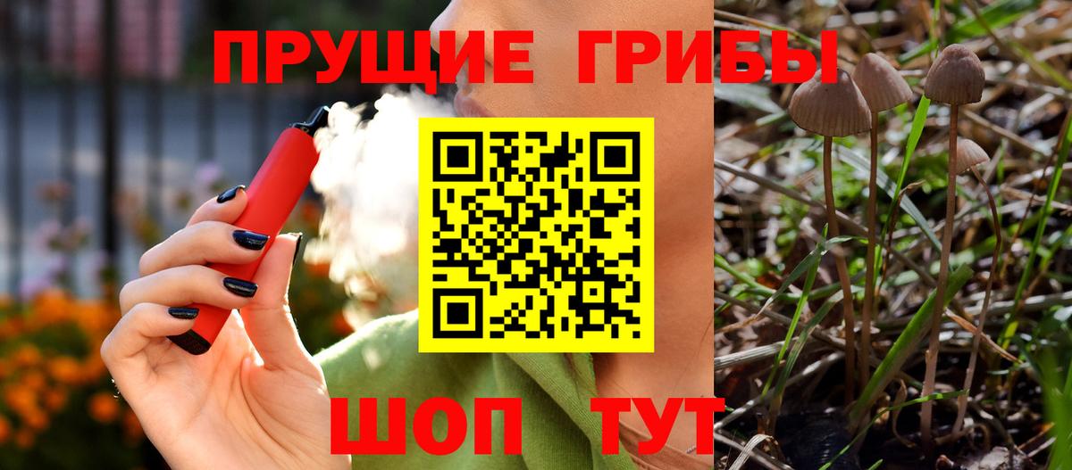 Галлюциногенные грибы Psilocybine cubensis  Вход с VPN  Кыштым 
